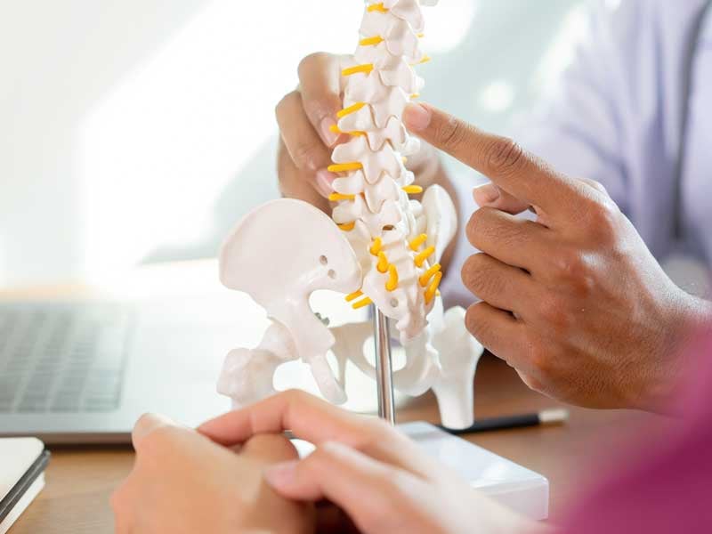 Especialista en salud explicando estructura de la columna vertebral con modelo anatómico 