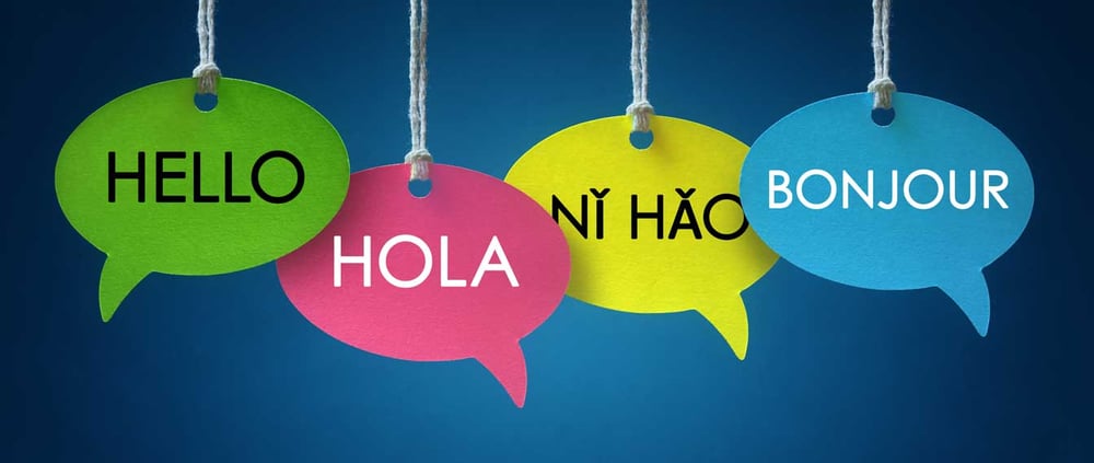 ¿A qué se dedica un licenciado en lenguas extranjeras?
