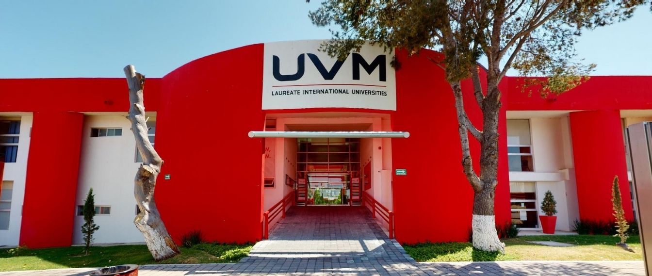 Blog UVM (6)