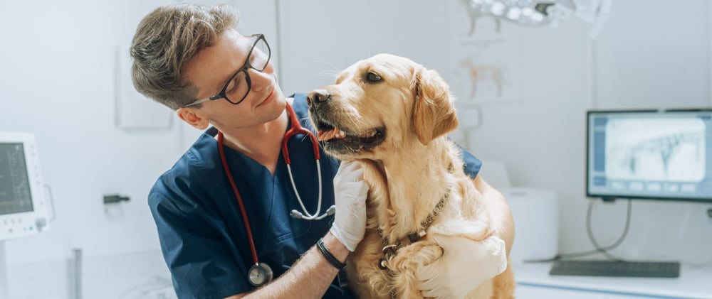 Medicina Veterinaria y Zootecnia: Una carrera con pasión por los animales