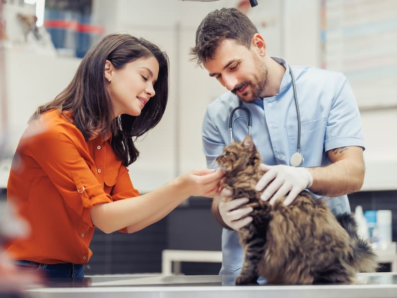 Qué carrera estudiar si me gustan los animales