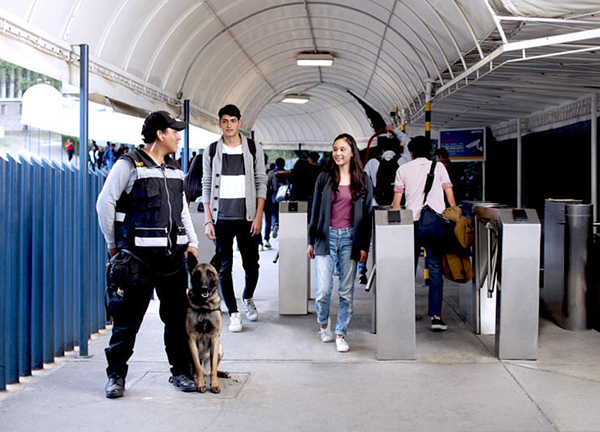 Gracias a los binomios caninos, entrada controlada, operación mochila y certificación antubullying, en nuestros campus se promueve un ambiente sano que propicia el desarrollo de nuestros alumnos en un ambiente sano.