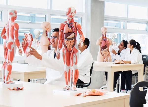 Laboratorio de Estructura y Función