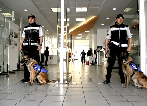 Seguridad UNITEC