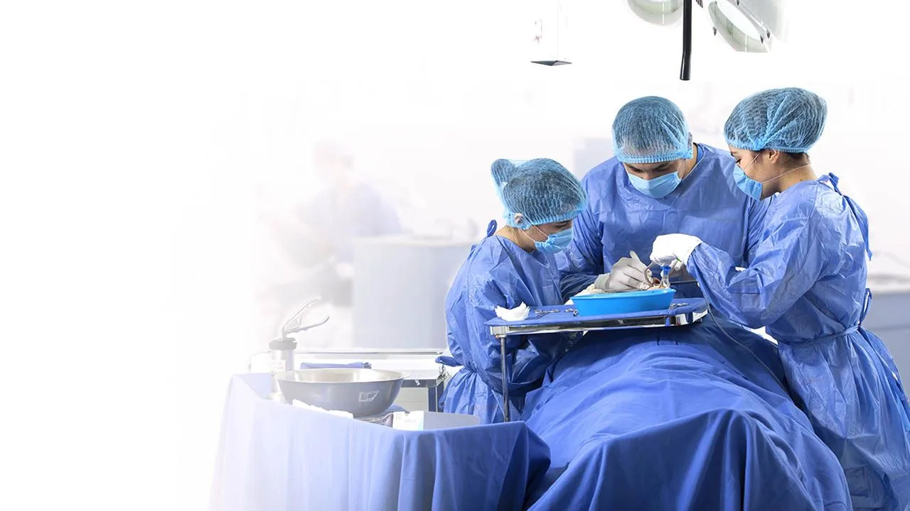 Licenciatura en Cirujano Dentista