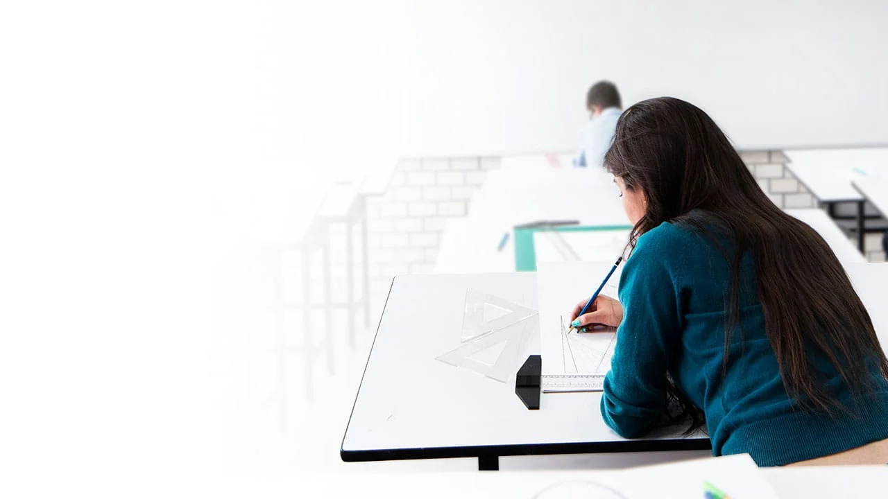 Licenciatura en Diseño, Animación y Arte Digital