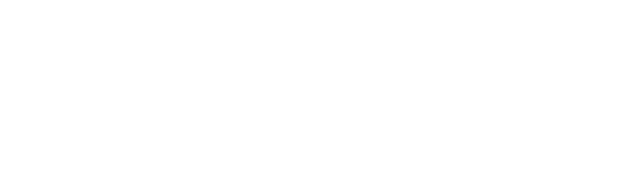 RECONOCIMIENTO LINCE 