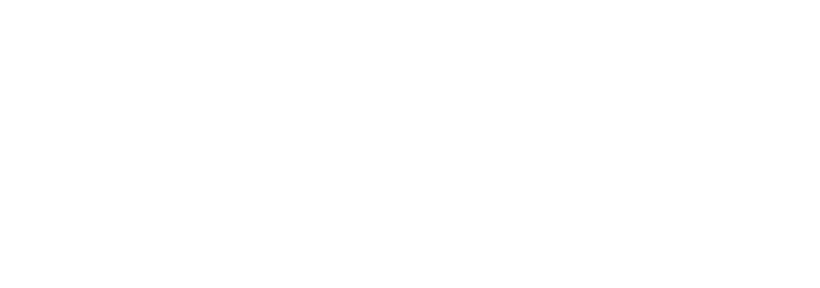  Linces siempre aprovechen las oportunidades y los cambios que la vida les presenta, ya sea en M xico o en el extranj...