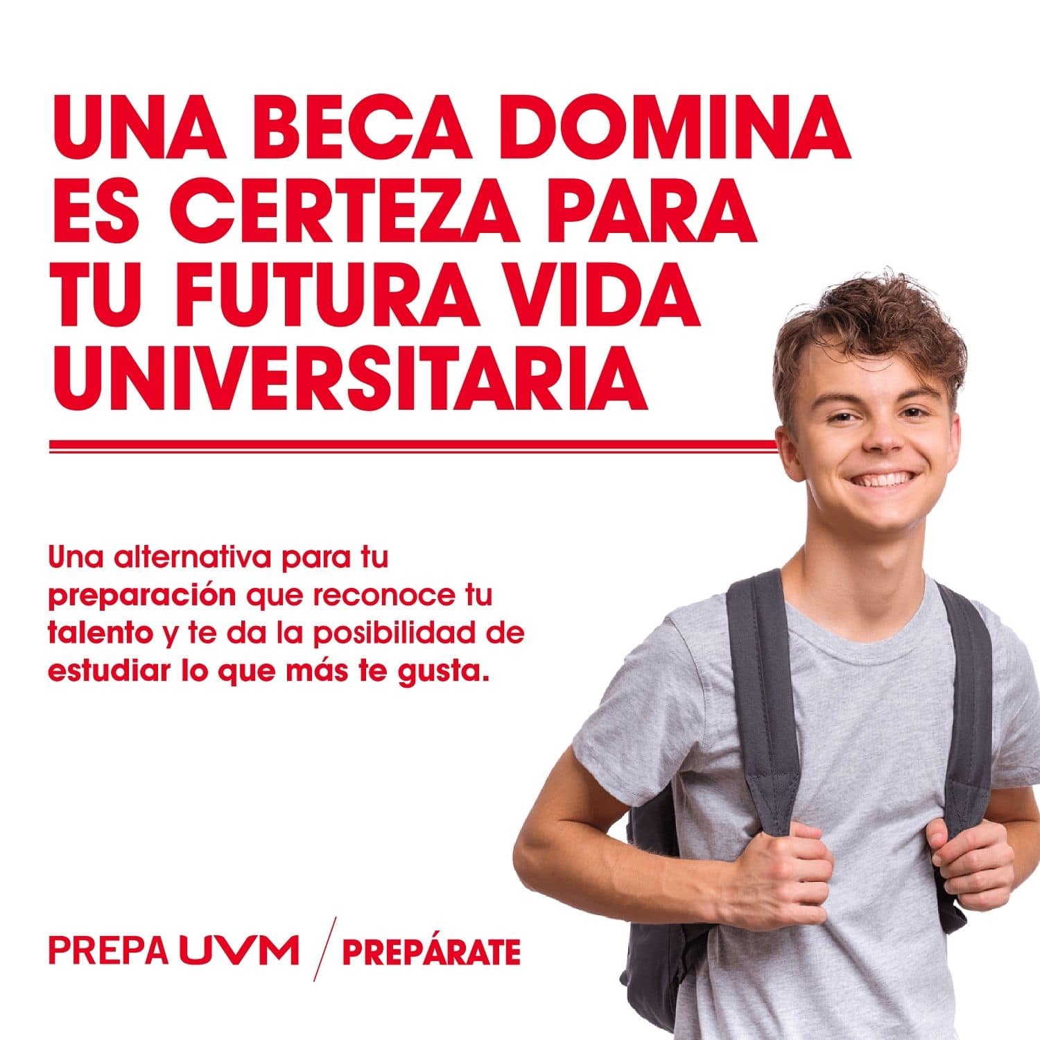 BECA DOMINA_CERTEZA EN BLOG