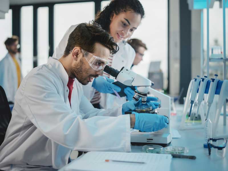 ¿Dónde puedo estudiar medicina?