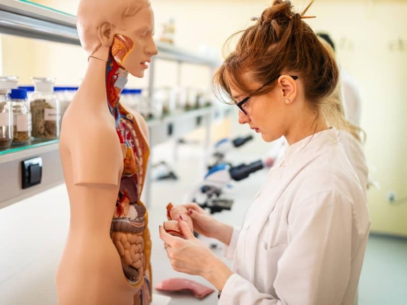 estudiar_para_Ser_nutriologo_en_uvm