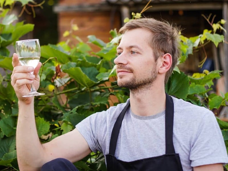 licenciatura_en_gastronomia_joven_cata_vino_en_viñedo