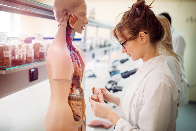 Todo lo que debes saber sobre estudiar medicina