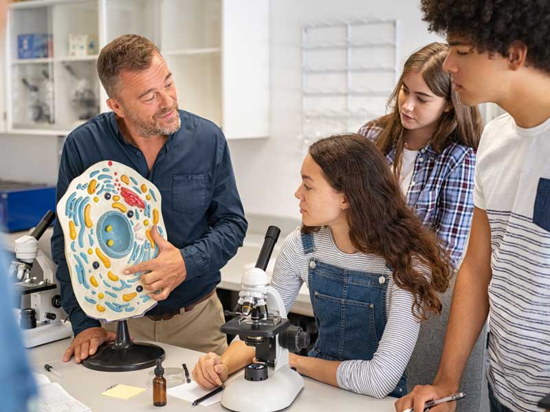 Preparatoria privada vs pública